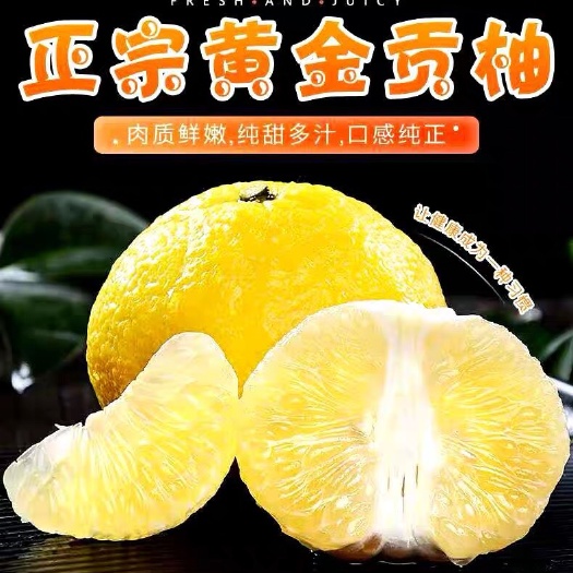 洪江市皇帝柑 黄金贡柑10斤橘子中国大陆湖南省怀化