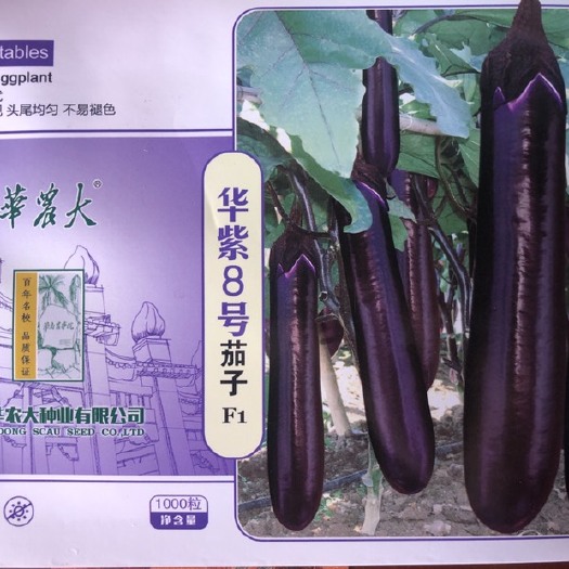 广东华南农大华紫6号 华紫8号烧烤茄种子 高温不变色 尾钝