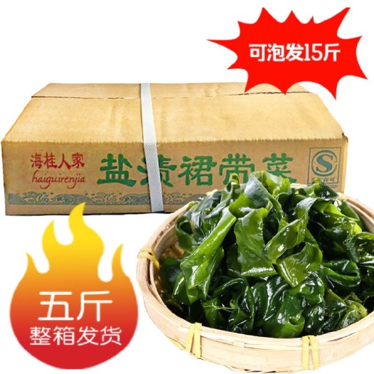 日照【批发】海白菜海带海藻裙带菜凉拌盐渍裙带菜5斤整箱盐渍海带包