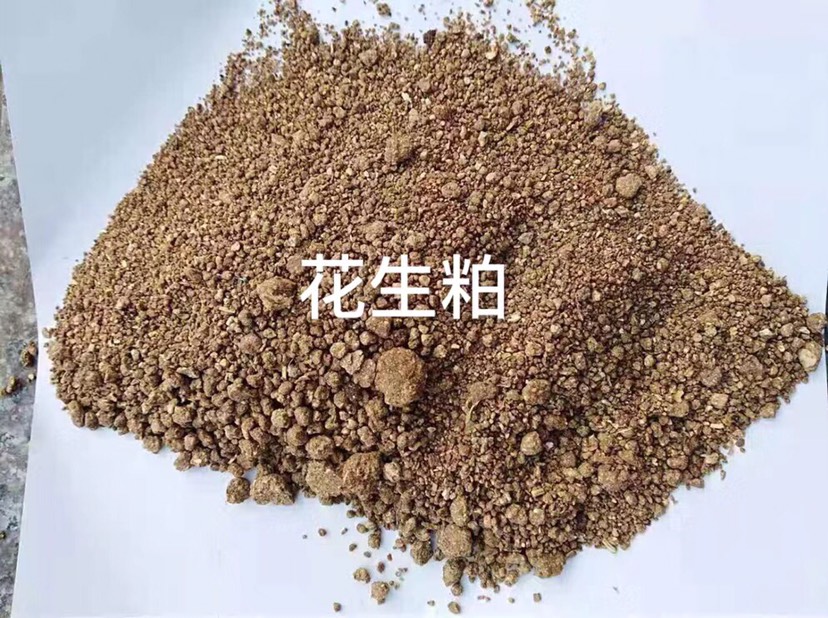 石家庄花生粕