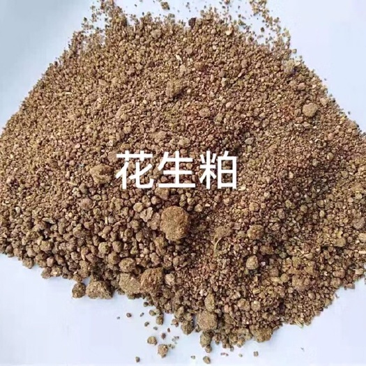花生粕