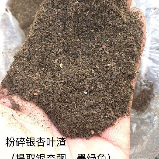 石家庄兔饲料  粉碎银杏叶渣，5毫米锣底