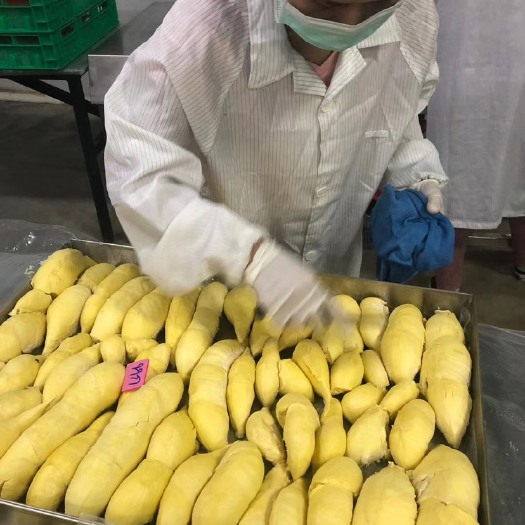 广州冰冻鲜榴莲  泰国金枕头冷冻榴莲肉