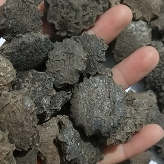 木鳖子  木憋子一公斤起包邮保证含量