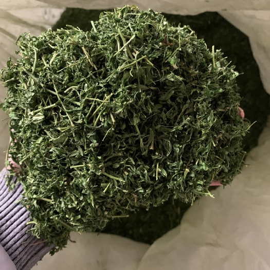 玉林相思藤叶鸡骨草相思茶茶大量批发 原产地直销