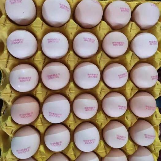 夏津县粉壳蛋 食用 箱装