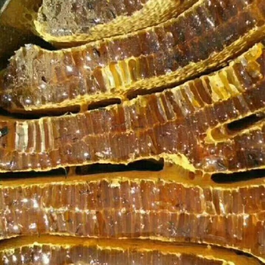 桓仁县野生蜂蜜  东北土蜂蜜一年一收