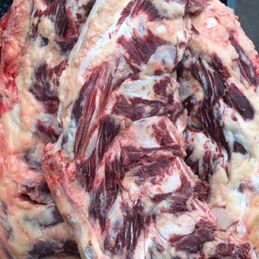 汕头牛骨  每天新鲜.牛排骨