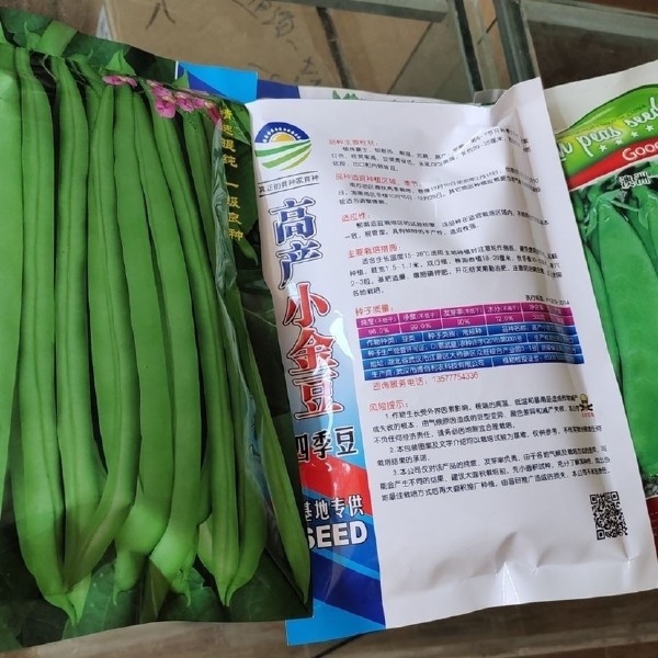 四季豆种子  高产小金豆 四季豆 芸豆 豆籽豆角 云南蔬菜种子图片模板设计