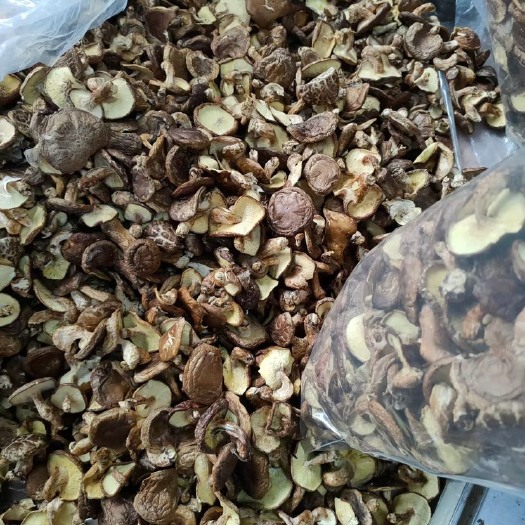 金秀县 香菇