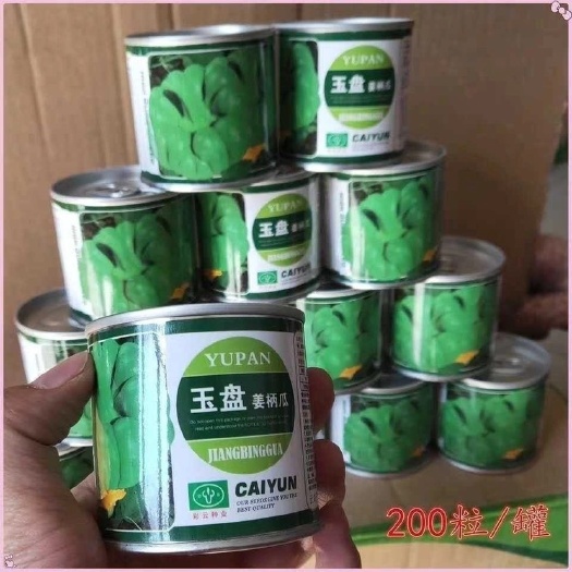 通海县玉溪姜柄瓜种子200颗粒