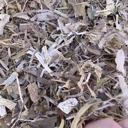玉米秸秆过夏草，8-14个水。