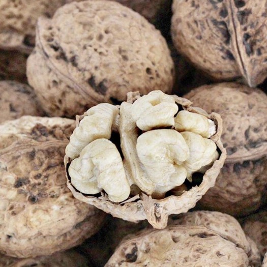 洱源县2024年新核桃云南高山薄皮核桃麻核桃