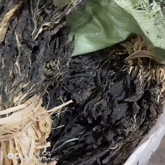 始兴县黄花菜干 菜干