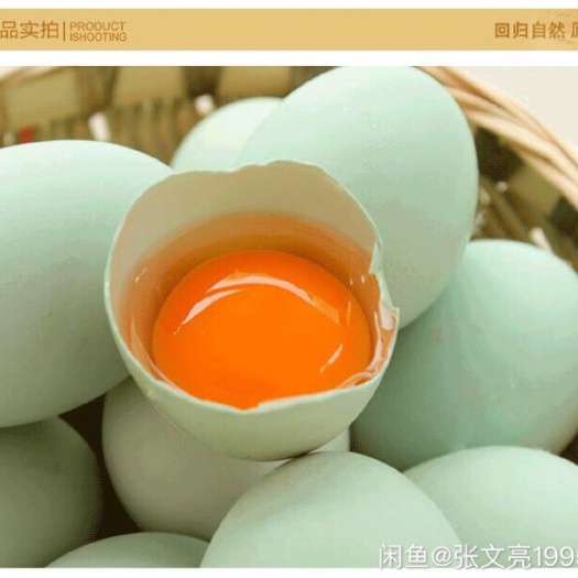 天津绿壳蛋  蓟县盘山农养绿壳鸡蛋长期供应可批发可零售！本农场长期供北京等