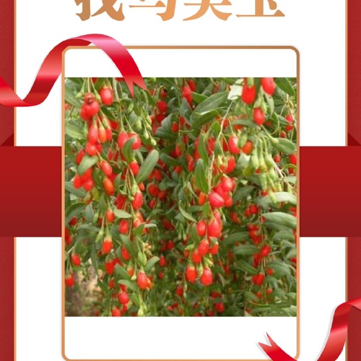银川宁夏枸杞  外行人买‌枸杞：看大小[调皮]
内行‌人买‌枸杞：看产地[强