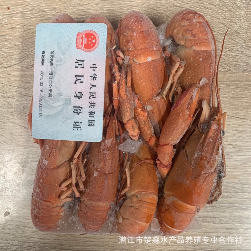 澳洲淡水小龙虾 液氮速冻清水澳龙淡水小龙虾蓝龙虾红螯螯虾鲜活