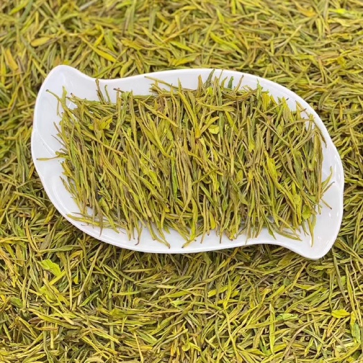 安溪县黄金茶  新茶黄金芽——回甘特别好！富含氨基酸！一年中最黄亮最黄