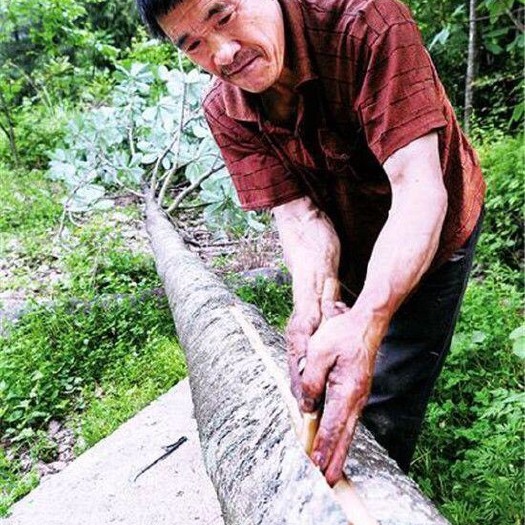 江华县根朴 