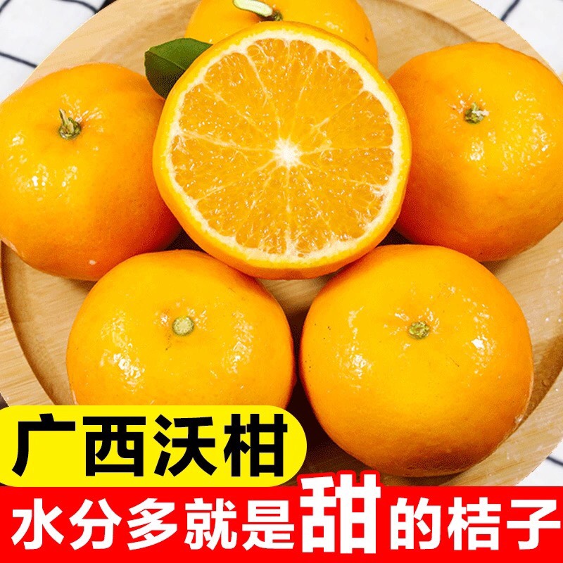 南宁广西武鸣沃柑桔子新鲜当季水果蜜桔橘子柑橘 新鲜采摘现摘现发