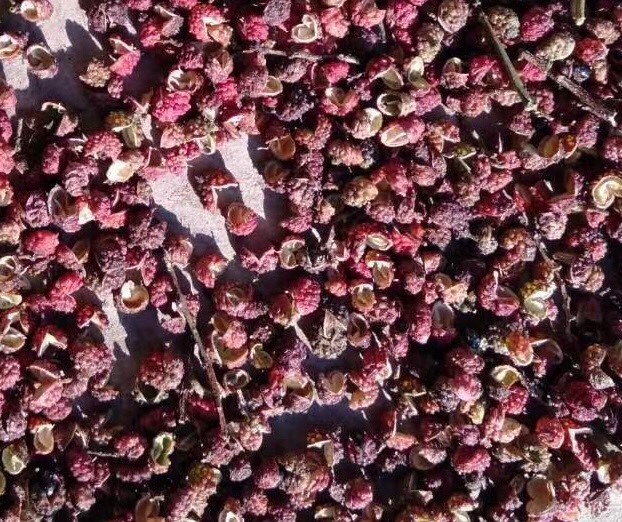 玉龙县红花椒 一级 干花椒 