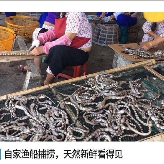 阳西县鳝鱼干  干 九成干 淡干鱼干 干货好