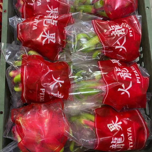 河口县红心火龙果  越南一二三四级火龙果。价格低 一首货源