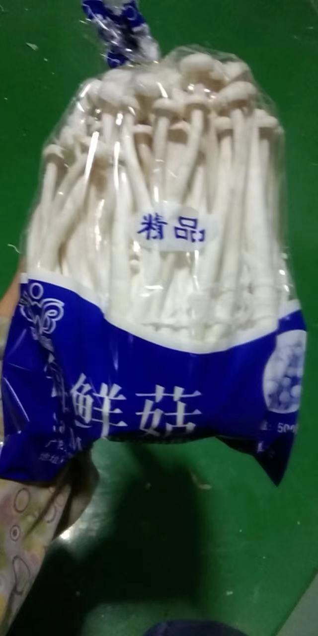 龍州縣 海鮮菇，白玉菇，日產10w斤，歡迎實力老板加入