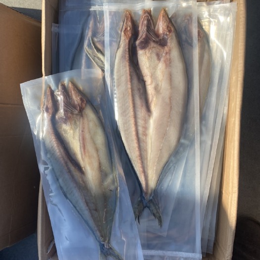 滨州鲅鱼干 【燕鲅鱼】精盐腌制 咸马胶鱼