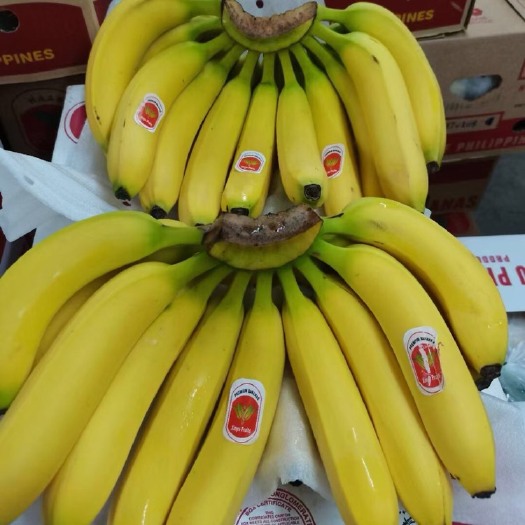 郑州 菲律宾香蕉