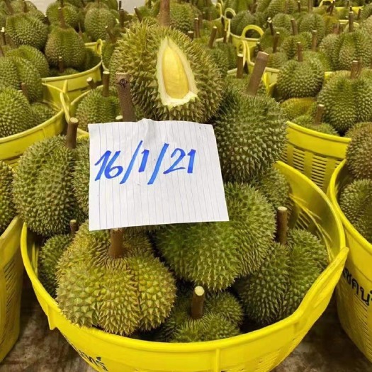 昆明甲仑榴莲 22号左右泰国到一柜