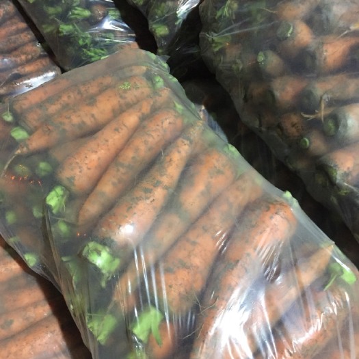 东台市三红胡萝卜 精挑细选 超市级精品泥胡萝卜 质量好