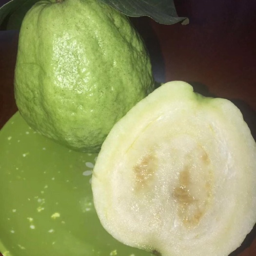 湛江珍珠番石榴 大且甜，汁水多