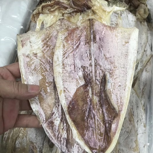 珠海 漂亮鱿鱼干，11-12头。品质保证