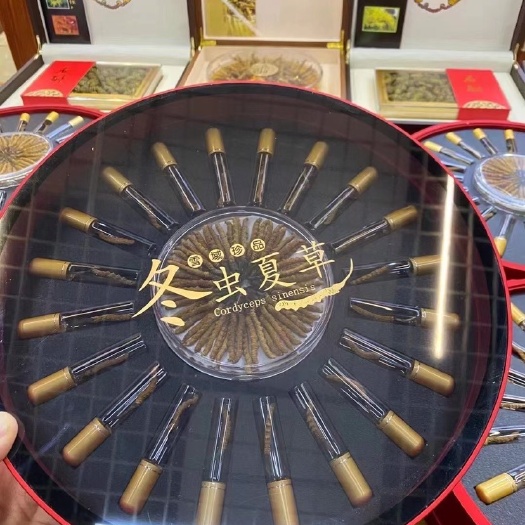 昆明冬虫夏草  虫草一年一季错过今年只有等明年