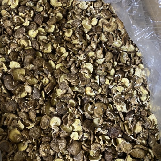 柳州蘑菇 箱装 1年以上 