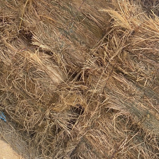 沙洋县各种规格稻草出售