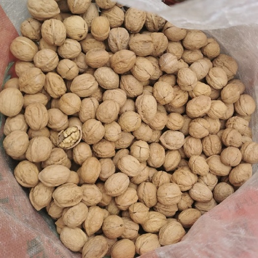 深圳新疆纸皮核桃，185，33大货通货