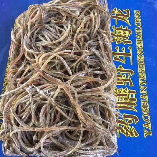 连云港海龙鱼海龙新鲜海鱼面线鱼钱串鱼海鲜批发水产多钙酒店食材