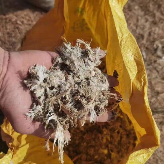 开平市鸽粪肥沃，天然肥料。