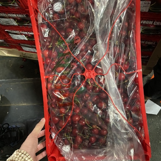 广州樱桃  J双D特级车厘子市场货各级别都有货 需要请联系