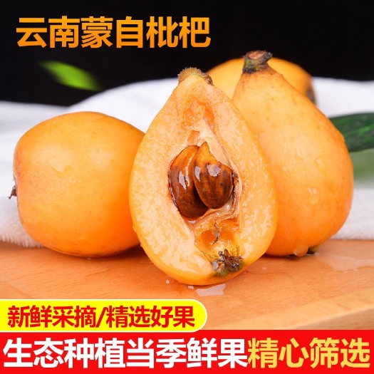蒙自市大五星枇杷 云南蒙自甜枇杷五星枇杷