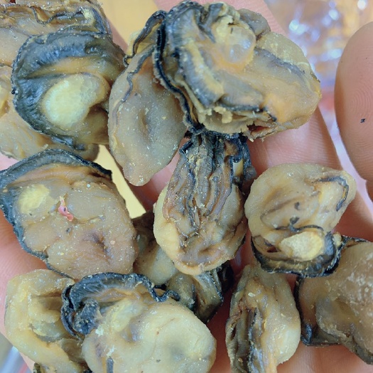 珠海珍珠蚝 冷冻水产 
