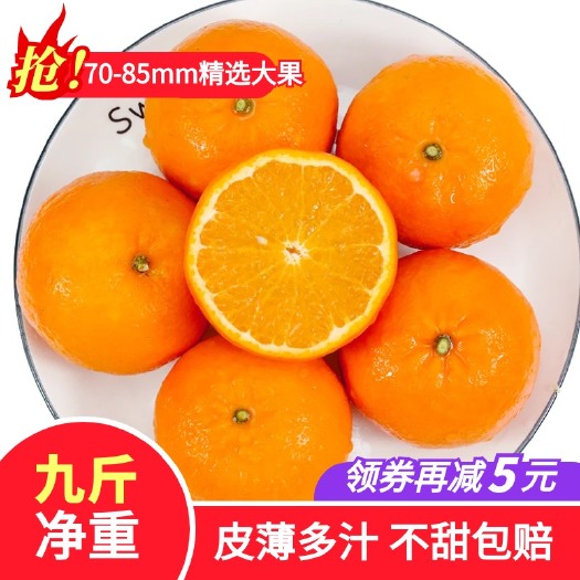 平南县广西沃柑10斤5斤整箱沃柑砂糖橘橘子桔子皇帝柑贡柑现摘现发