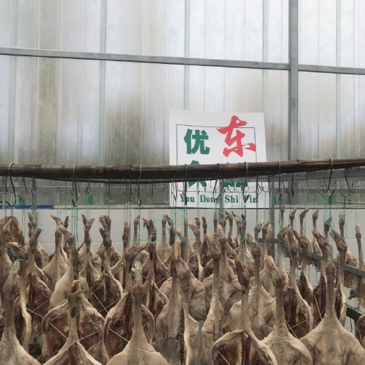 长沙腊鸡 风干鸡   风干鸭    风干鱼      风干大白刁
