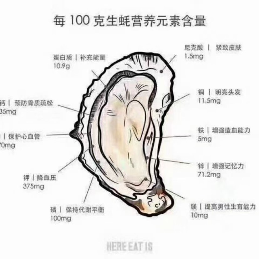 牡蛎 湛江市生蚝自产自销,有五年蚝龄的稳定大生蚝,现采现卖