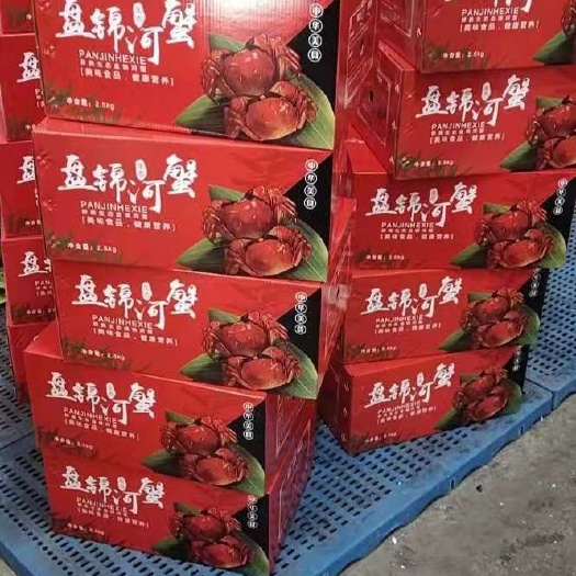 青蟹 正宗天下第一合蟹市场 盘锦合蟹