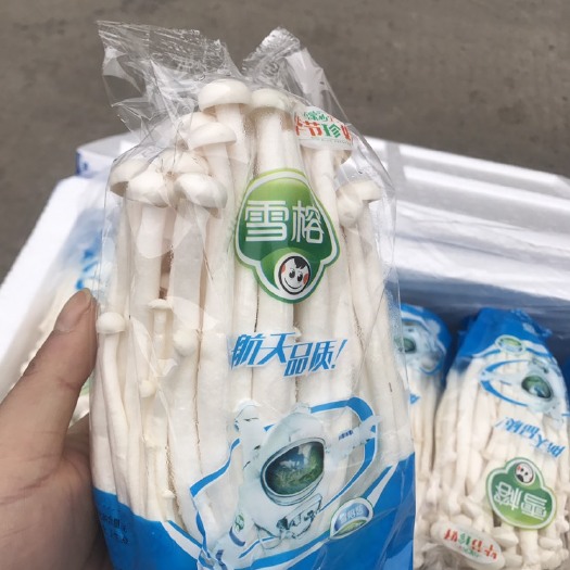 常州白玉菇 雪榕250g小海鲜菇 量大价优 速度抢购