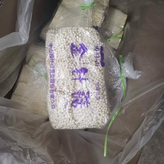 常州白金针菇 鲜金针菇 未开伞 