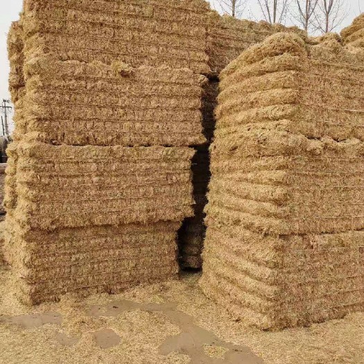 天津稻草秸秆大量发货，白干净水份安全